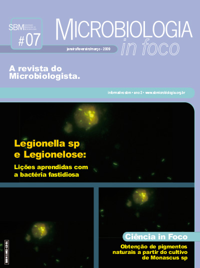 Legionella Sp E Legionelose