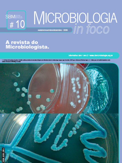 Colônias De Levedura Candida