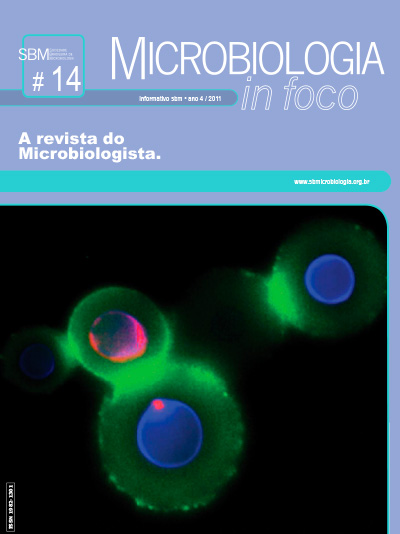 Produção De Celulose Bacteriana: Uma Nova Tendência