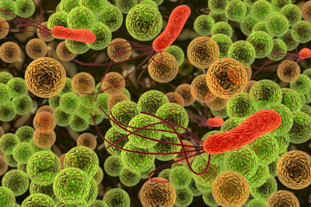 9º Curso De Especialização Em Microbiologia 2016-2017