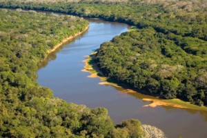 Plataforma Da Biodiversidade Vai Reunir  Dados Sobre Patrimônio Natural Brasileiro