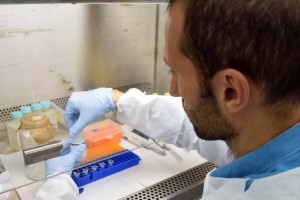 USP Desenvolve Teste Sorológico Para Detecção Do Zika Vírus