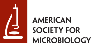 Prof. Gustavo Goldman, Presidente Da SBM, Recebe Prêmio Prestigioso Da Sociedade Americana De Microbiologia.