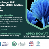 FAILSAFE – Fungal AMR Innovations For LMICS: Solutions And Access For Everyone